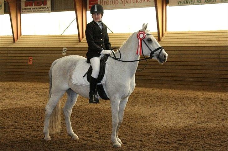 Anden særlig race Tristan Silverboy - Tristan og jeg til vores første stævne:).        Lc2 1.plads billede 8