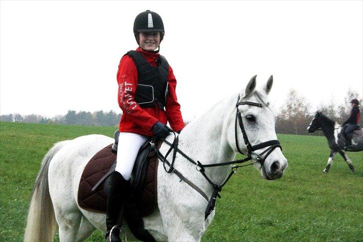 Anden særlig race Tristan Silverboy - hubertusjagt billede 10