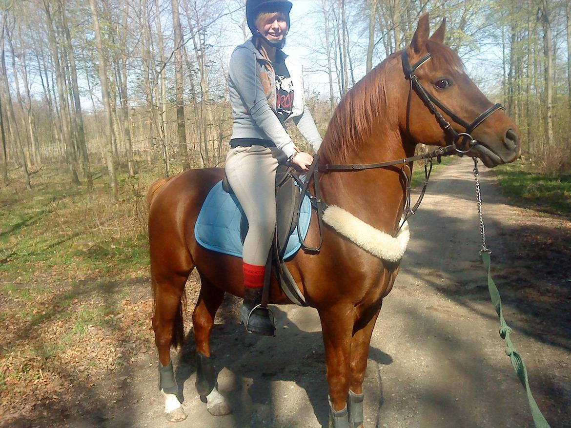 Anden særlig race Bounty billede 14