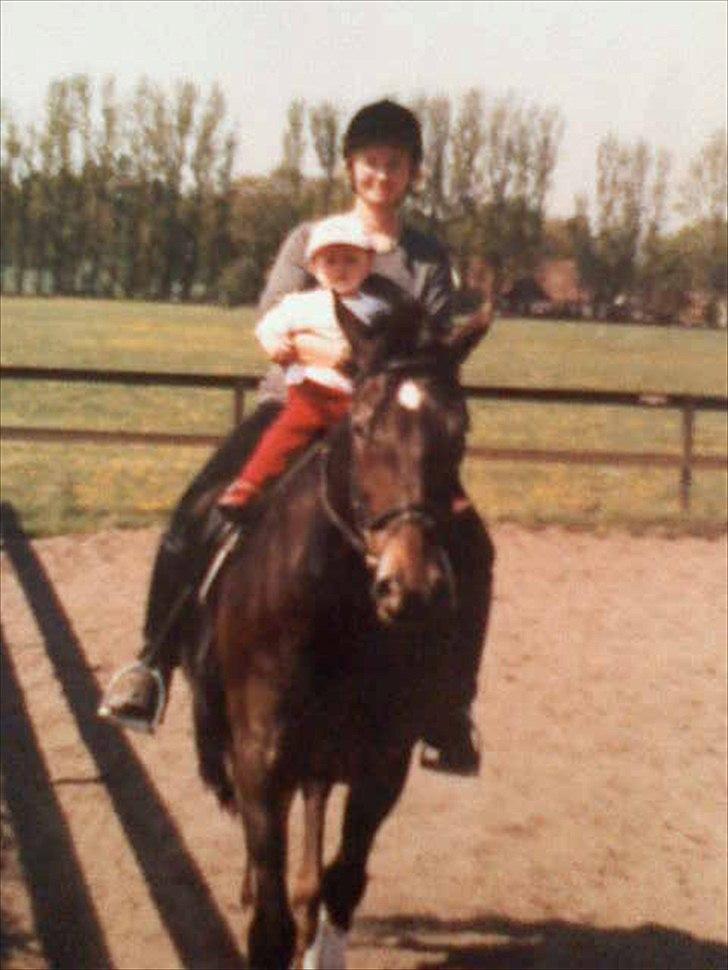 Knabstrupper • Wendy billede 8