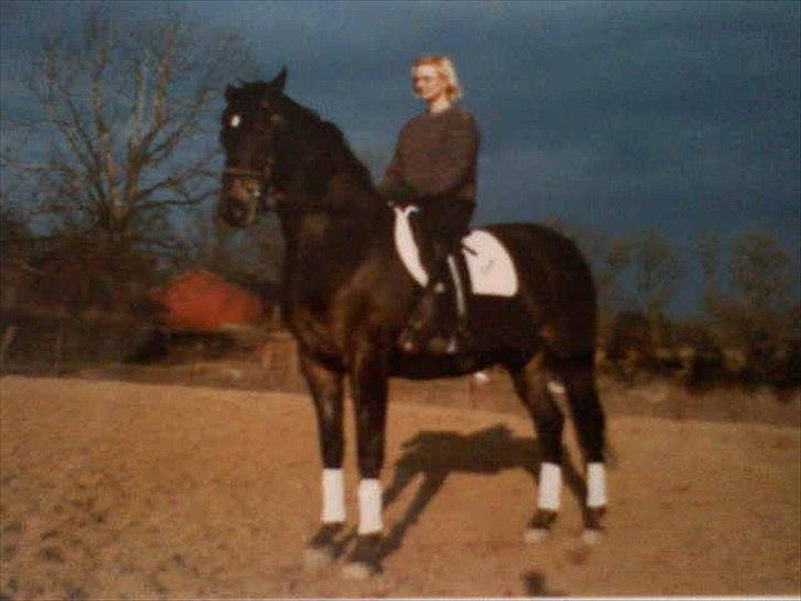 Knabstrupper • Wendy billede 9