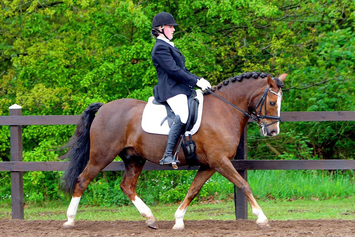 DSP simba<3 (bassemand) billede 19