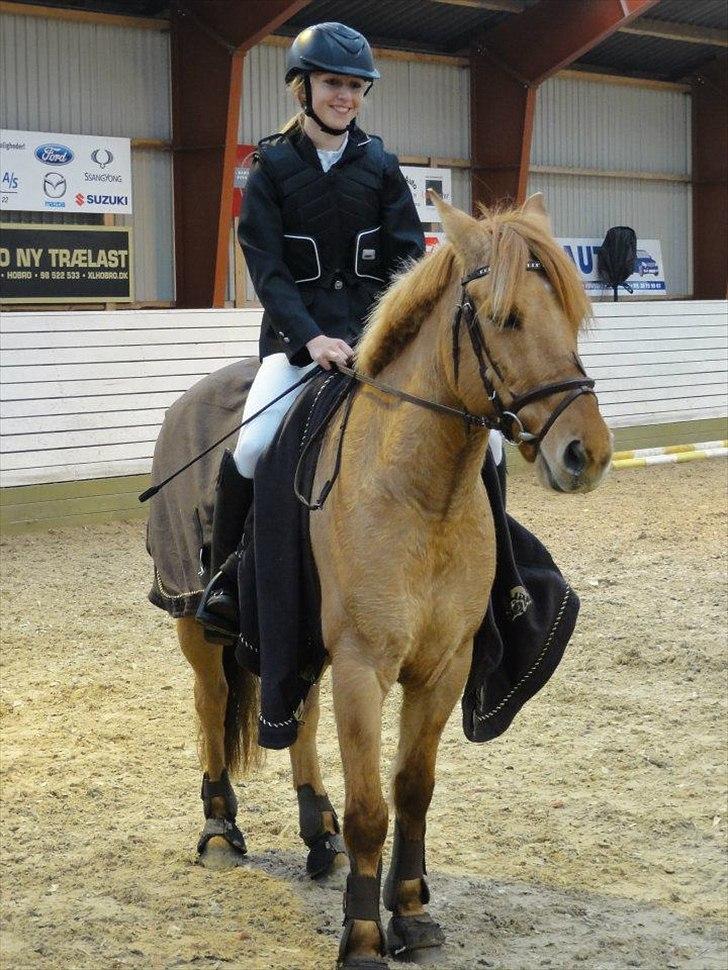 Anden særlig race Golden Dane (Bailey) - Præmie overrækelse til klubmester skab. Blev nr. 3 :D billede 1