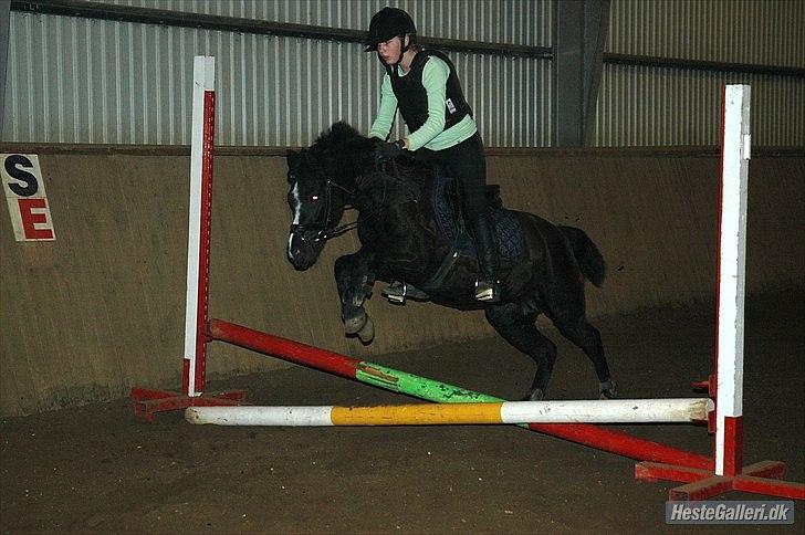 DSP Bjerregaards Wendy - springtræning<3 billede 13