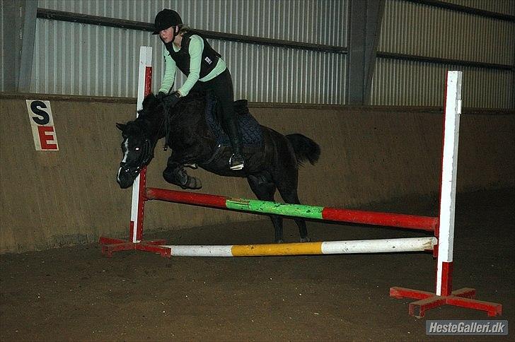 DSP Bjerregaards Wendy - springtræning<3 billede 14