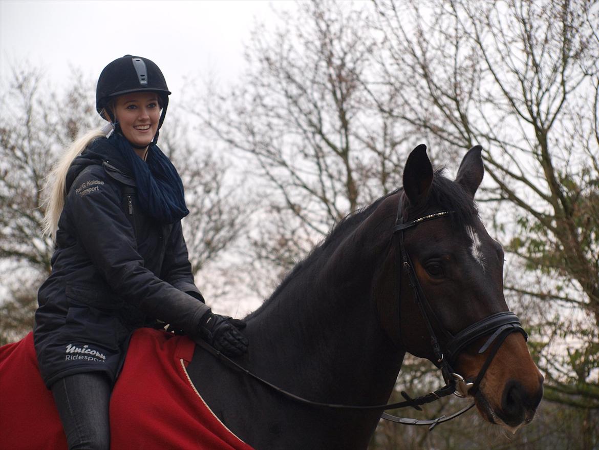 Holstener Dumbledore - Min egen private sol og jeg :-) billede 14