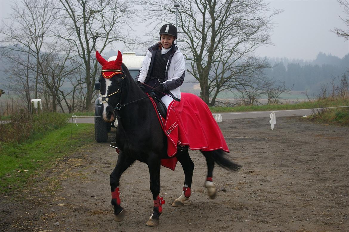 DSP Skovgårdens Sigma ( R.I.P) - Julie og Sigma til stævne i Farstrup 2011 billede 1
