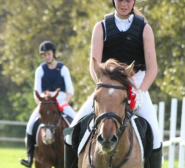 Anden særlig race Rendsborggårds Jonas - 1) MSK billede 8