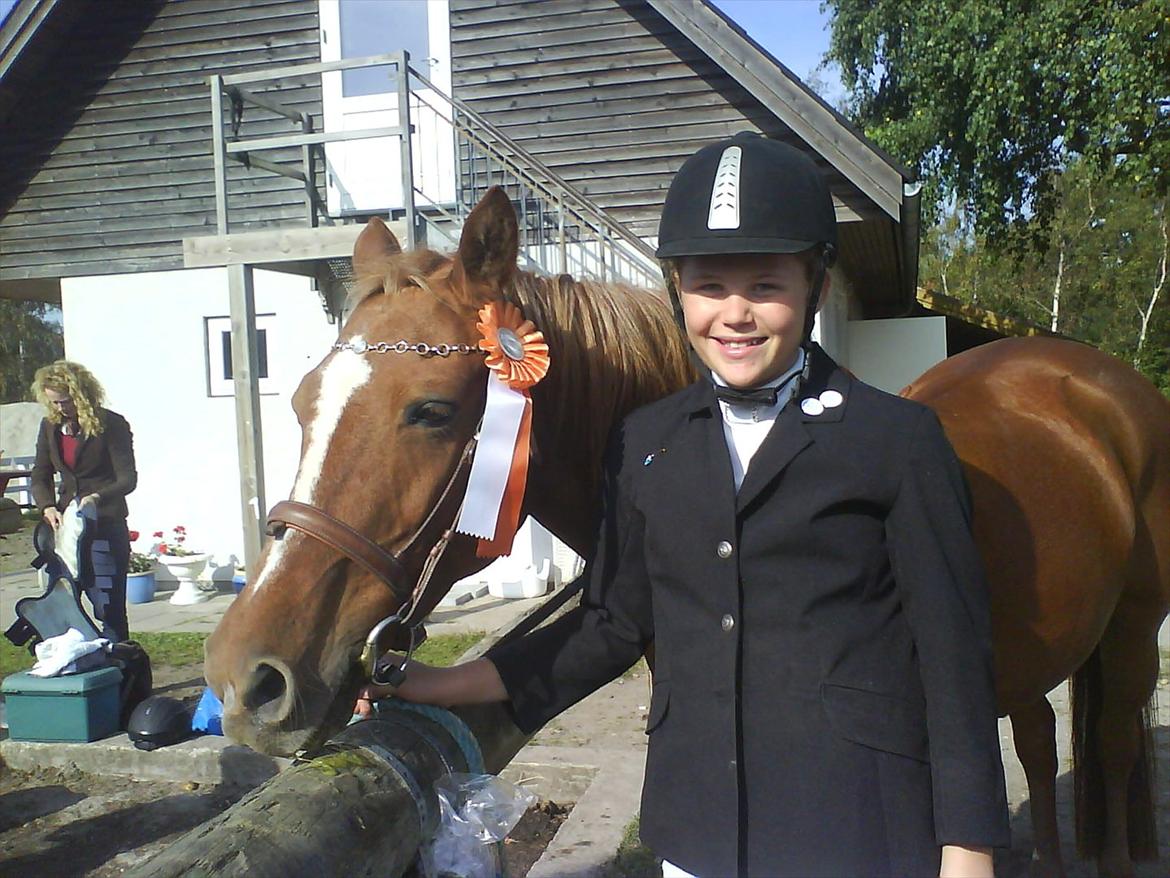 Anden særlig race Hur's Blundy *my soulmate* R.I.P - Efter sløjfedressur d. 2.10.11 Hun var mit lille præmiedyr den weekend. Om lørdagen sløjfespring der gav hun mig 2 rosetter. Dagen efter var der dressur og der fik jeg også en rosette præmiedyr;-D(Don't look at me!!!!!!!) *foto Emma* billede 15