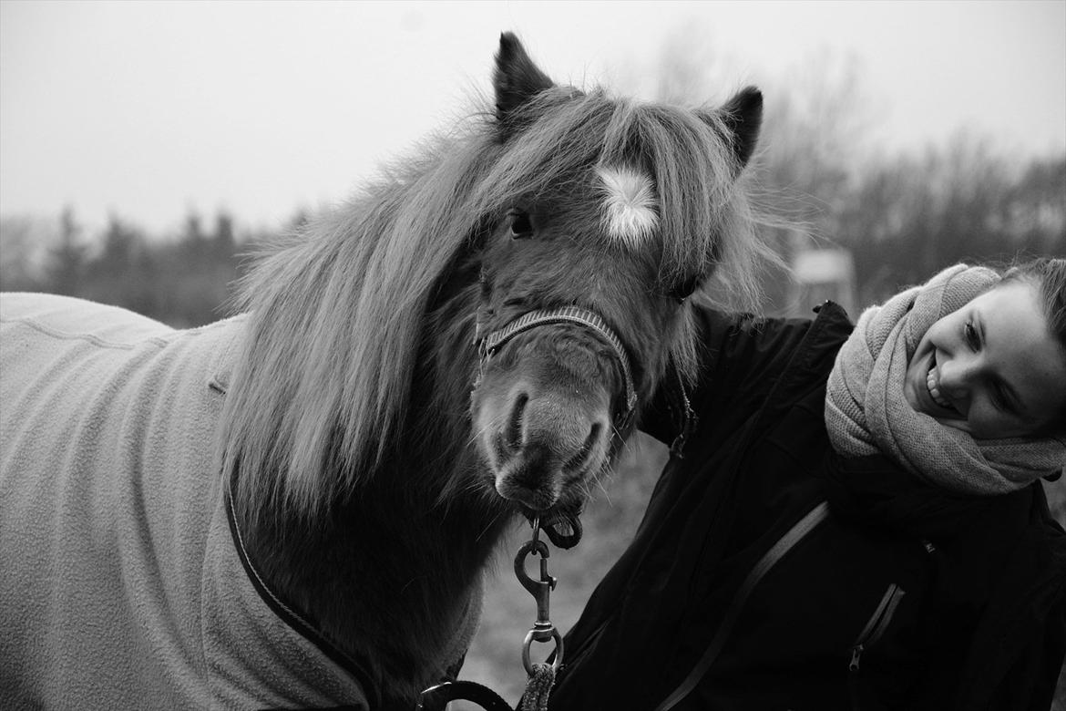 Anden særlig race Prins. :-) - Dream what you want to dream; go where you want to go; be what you want to be, because you only have one life to live and one chance to do all the things you want to do.♥
Taget af Maria.

Når alt virker håbløst, kan jeg altid komme til dig, og få humøret  billede 13