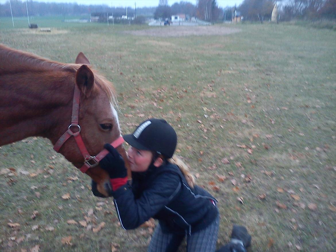 Anden særlig race Hur's Blundy *my soulmate* R.I.P - Blundy får et dejligt kys på mulen billede 17