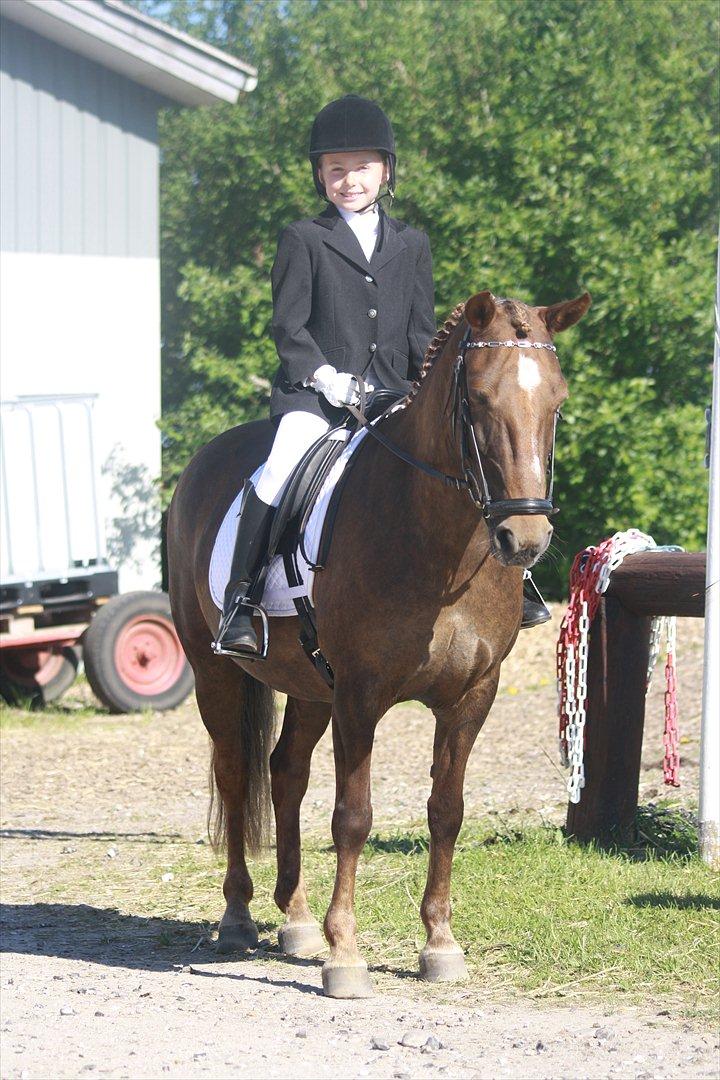 DSP Malou - Et billed fra mit føste stævne,på Malou billede 6