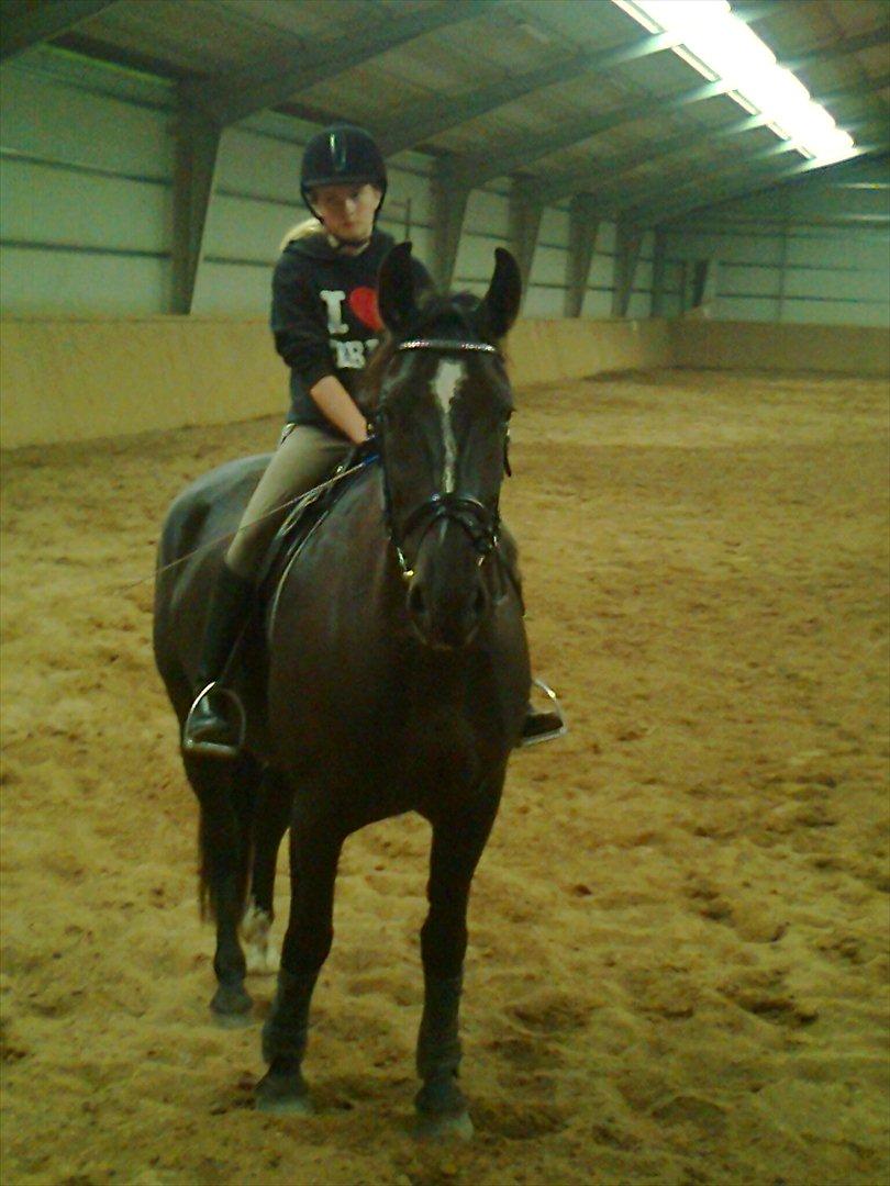 Oldenborg Max  billede 13