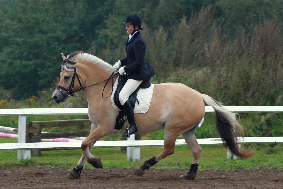 Fjordhest Ingunn Granlygaard - Ingunn og Pia til stævne i Vester Hassing d. 18.09.2011 billede 13