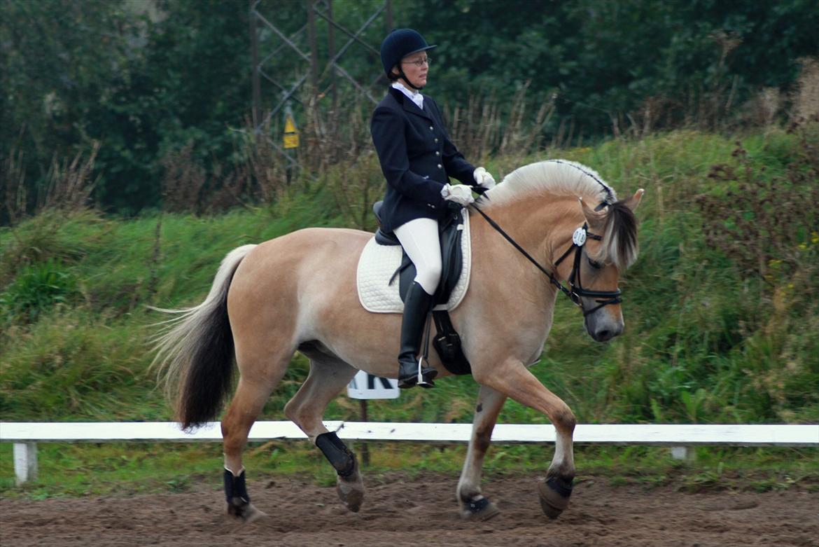 Fjordhest Ingunn Granlygaard - Ingunn og Pia til stævne i Vester Hassing d. 18.09.2011 billede 11