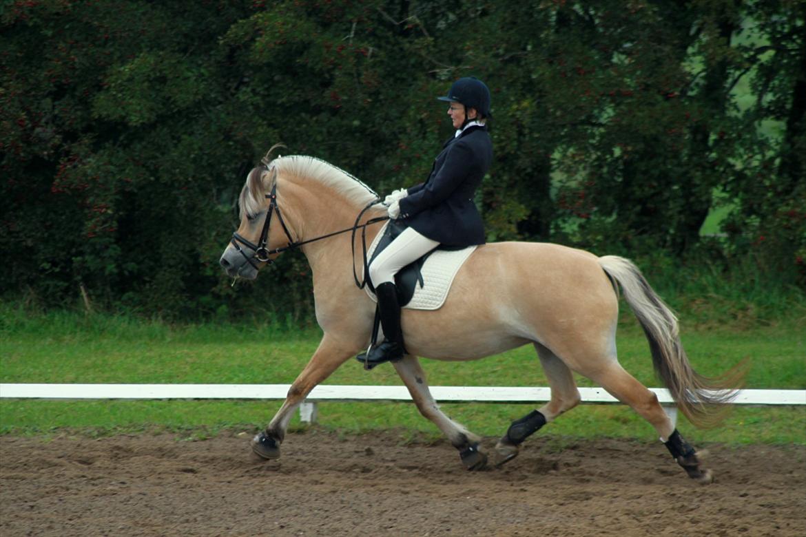 Fjordhest Ingunn Granlygaard - Ingunn og Pia til stævne i Vester Hassing d. 18.09.2011 billede 12
