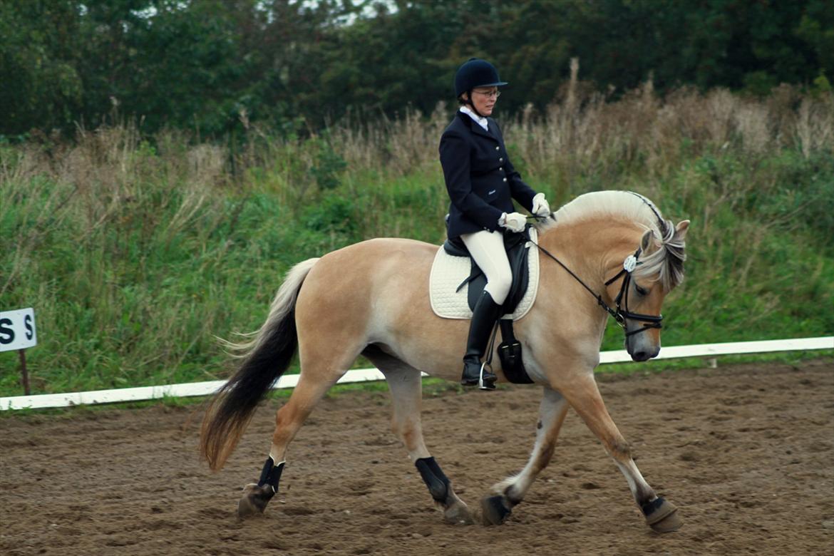 Fjordhest Ingunn Granlygaard - Ingunn og Pia til stævne i Vester Hassing d. 18.09.2011 billede 14