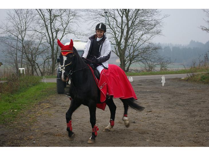 {{currentPhoto.altText}} billede {{currentPhoto.number}}