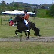 Islænder BjargÞór frà Blesastöðum