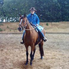 Fuldblod (XX) Blue Line Lady