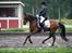 DSP Centrum - Galop