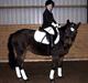New Forest Tina Turner (SOLGT) :.C