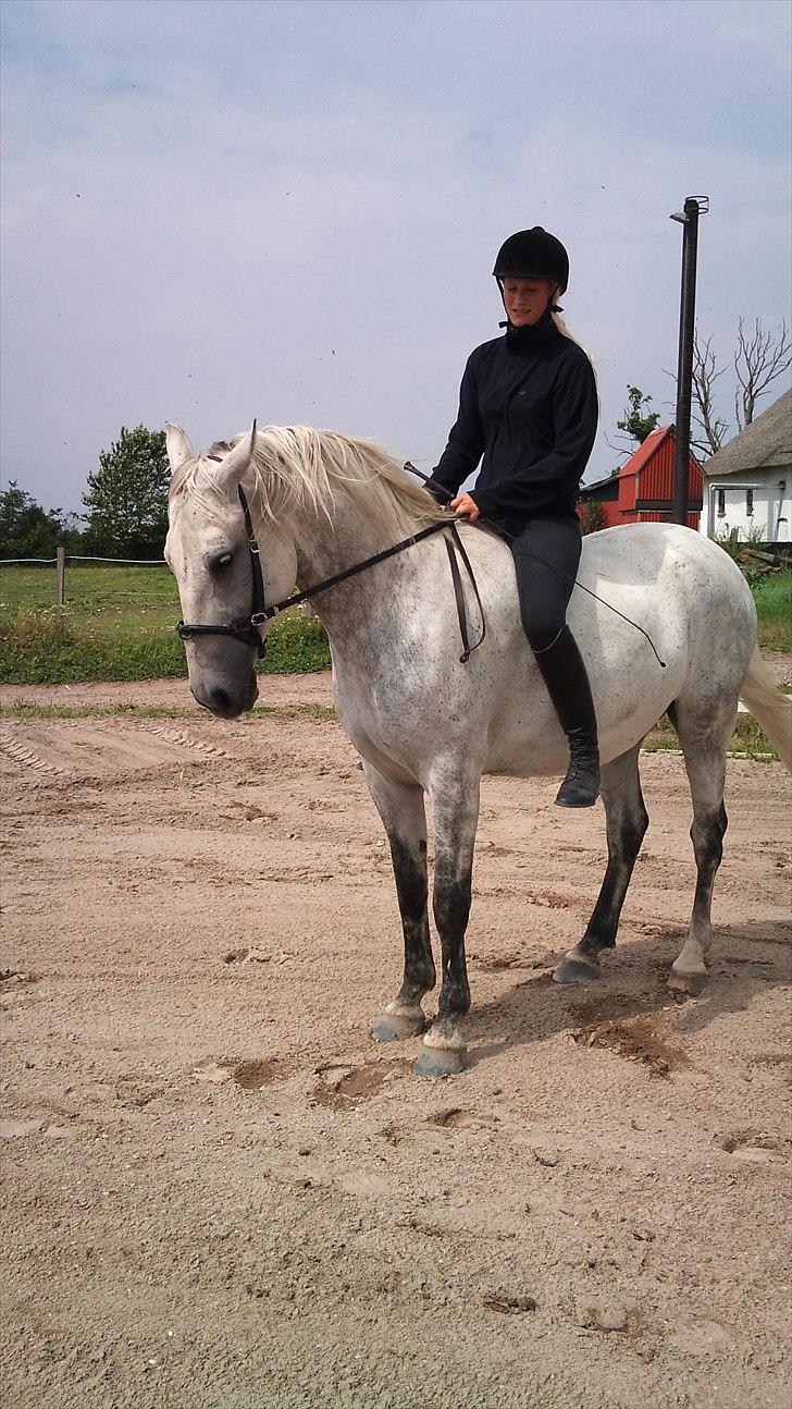 Anden særlig race Solis - solis og Carina 2010 billede 8