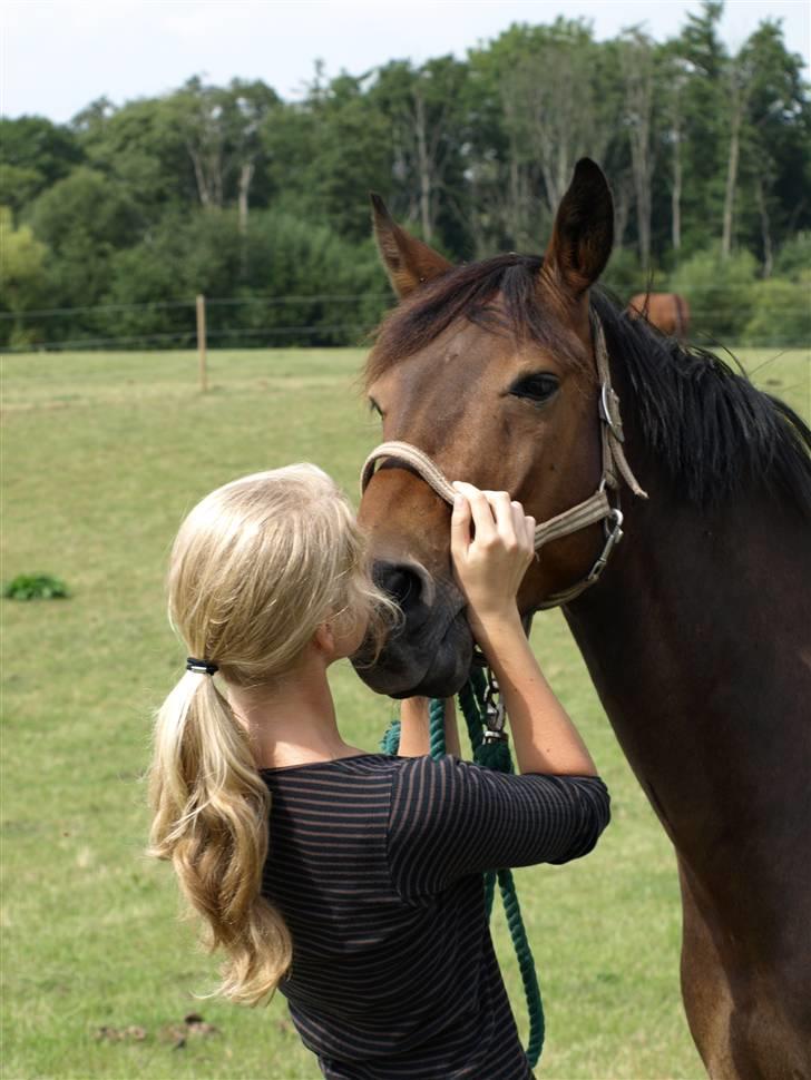 Anden særlig race Nicko - Hygge på folden! <3 Foto: Mia Bach Riis billede 4