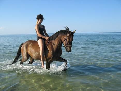 Anden særlig race Nicko - Ude og bade! Wee! billede 5