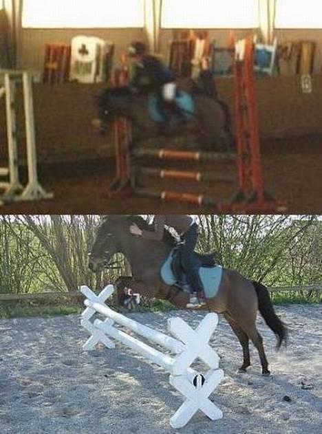 Anden særlig race Tarzan R.I.P <3 - Øverste til stævne i Aabenraa og det nederste bare træning :) billede 14
