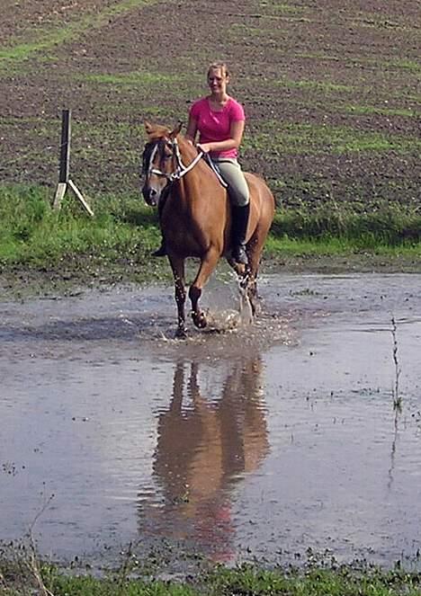 Anden særlig race Spitfire † - Uuh.. så er der kommet vand i folden (igen) billede 11