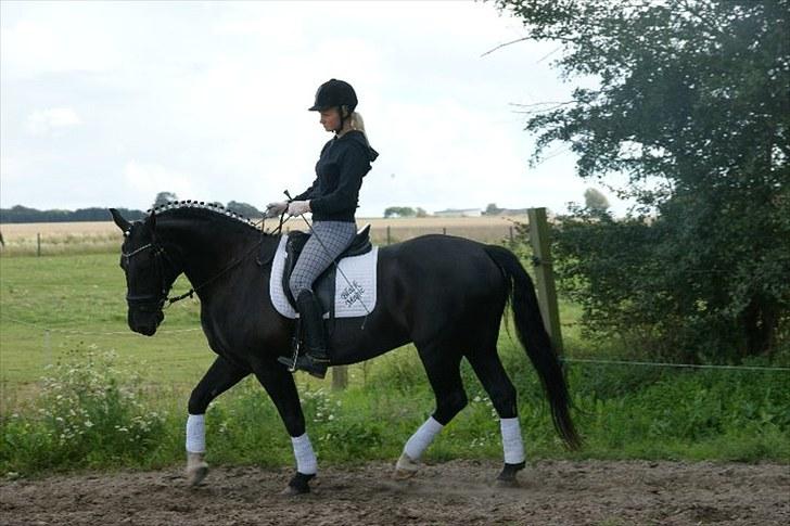 Anden særlig race Black Magic - Min superstar. (: billede 1
