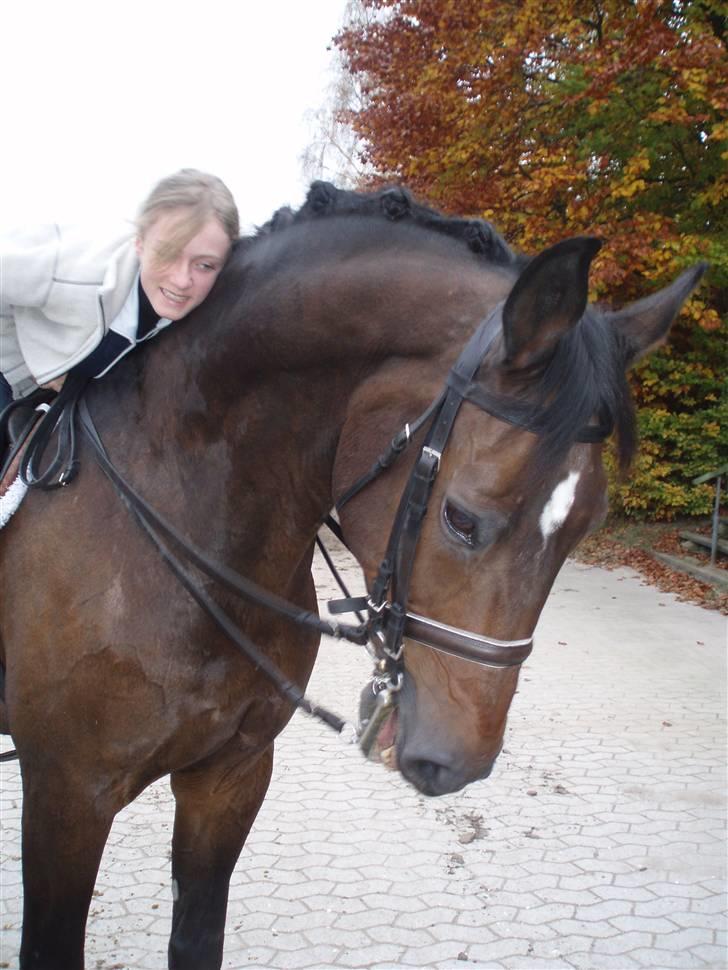 Holstener Carat R.I.P - Mig og Carat (Læg lige mærke til, hvor stor og flot hans hals er :D, og han er 18 år) billede 8