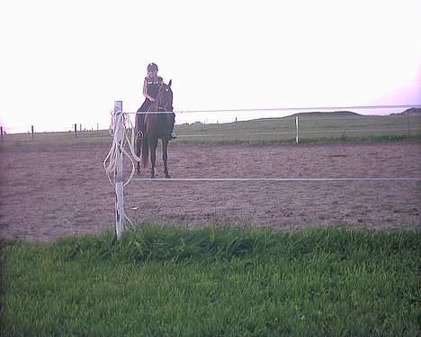 Traver Futte (profit) billede 10