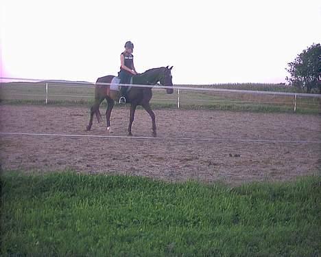 Traver Futte (profit) - Nej nej Og atter nej:S hesten går jo beder hah, Jeg sidder ahelveds til:P billede 11