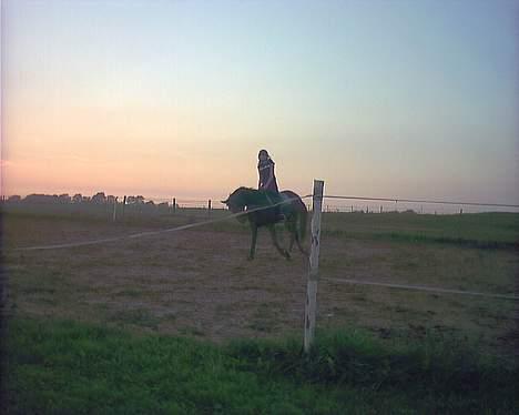 Traver Futte (profit) billede 12