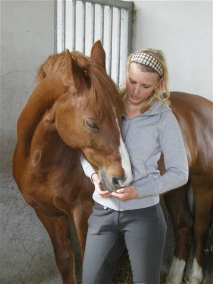 New Forest Bastian billede 17