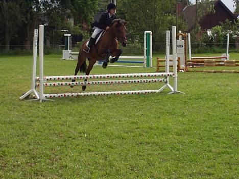 New Forest Megan - Dengang jeg red stævner på hende. Nok 2-3 år siden.. var så stolt over vi kom over det plettede spring, da hun havde stoppet på det, kan jeg huske, heh. billede 4