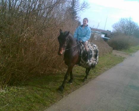Anden særlig race DIBA - Diba og jeg 11.3 På tur :) fotograf: katrine t. billede 2