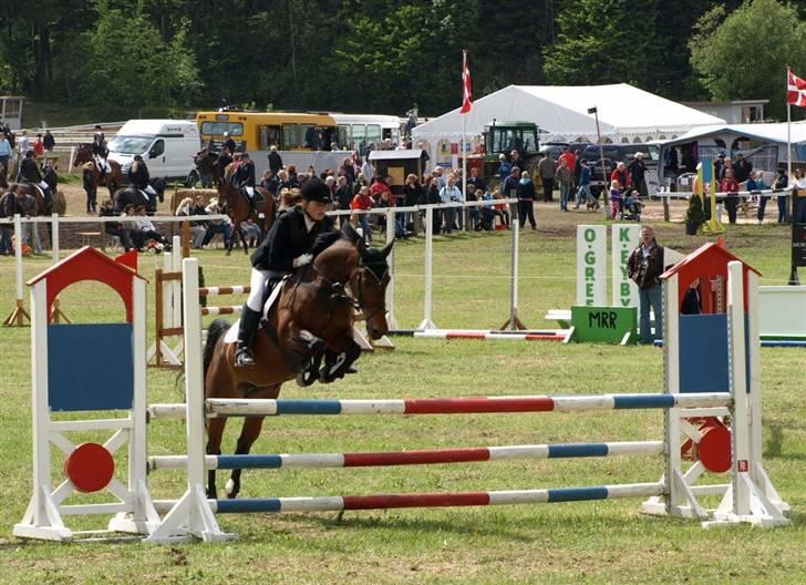 Hollandsk Sportspony Patty  RIP - 1# Morsø 2009 billede 1