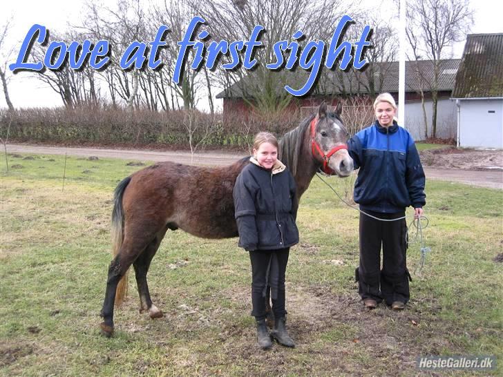 Anden særlig race Vanggården's Mister Magic - Første gang jeg så ham.  D. 22-02-2006 :) <3 billede 7