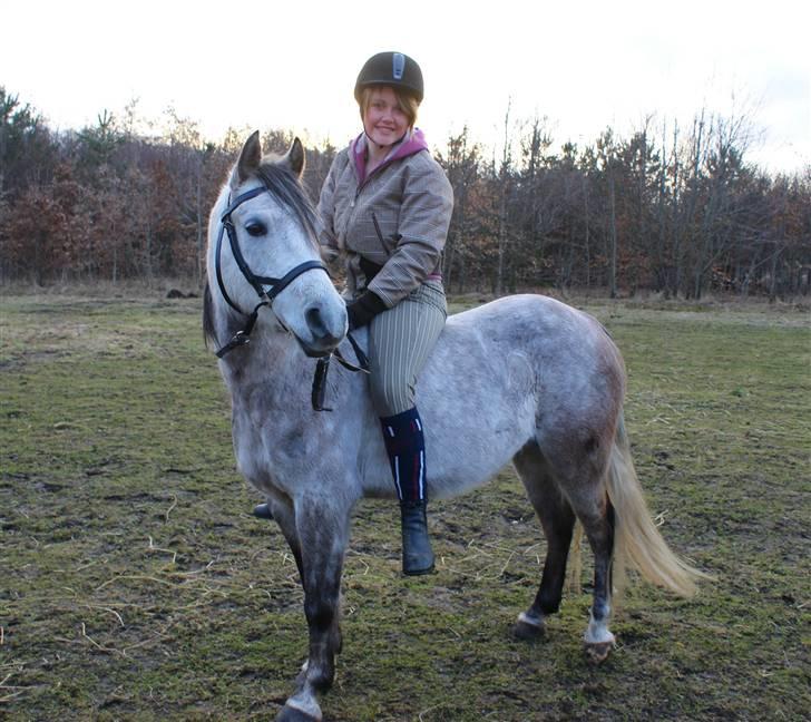 Anden særlig race Vanggården's Mister Magic - "Alle veje som ikke kommer fra hjertet ender blindt!" Mister og jeg, første gang vi rider bidløs, og første gang med rytter i flere måneder! D. 1. april 2010 billede 8