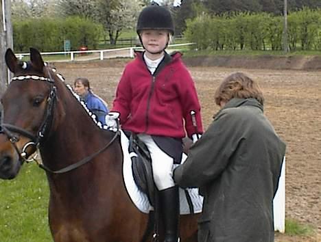 Anden særlig race Vandmøllens Tjengo <3 - Ser han ikk sød ud? Ærgeligt hele mulen ikke er med. Elsker den pony billede 13