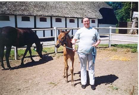 Traver Olympia Spirit - Olympia fik øje på et eller andet lige som JEG fotografede Diana og den smukke saglighed billede 2