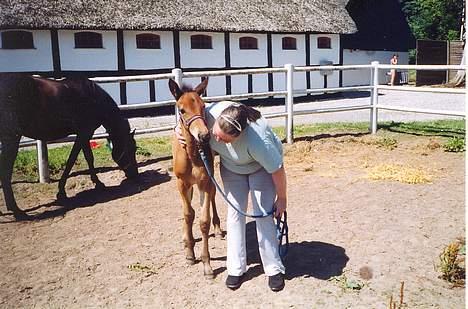 Traver Olympia Spirit - Her vil olympia give et knus til Diana hvilket jeg fraråde hende hvis Olympia bed hende istedet for billede 4