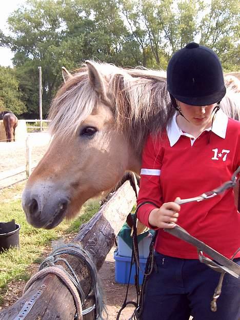 Fjordhest Claus (Part) - Søde Claus <3 billede 6