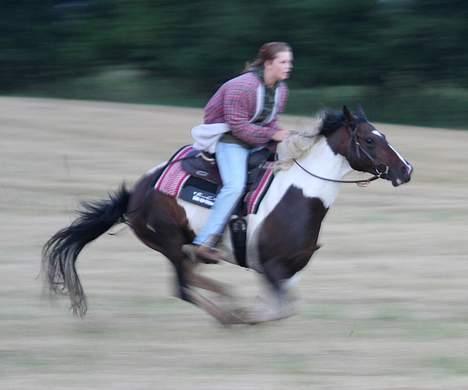 Paint Sixpence - Fuld skrue :) med tåre i øjne billede 10