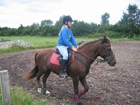 Anden særlig race Nansi R.I.P - nansi og sif . De passer sindsyg godt sammen .  billede 7