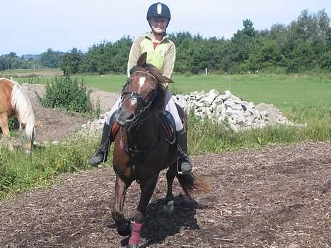 Anden særlig race Nansi R.I.P - hehe . Syntes det billeder er så godt :P billede 9