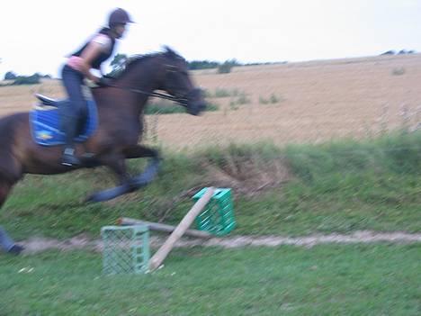 Traver Elliot Swing (Fjot) Død) - Springopvarmning 9-8 2006 Foto Trine billede 14